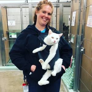 Meet your Posher, Paige